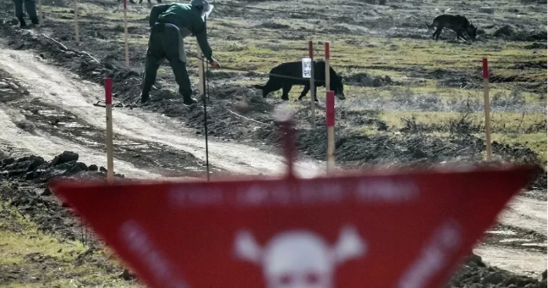 Амирбеков: Наличие мин по прежнему представляет серьезную угрозу безопасности Minval Politika