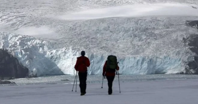 Antarktidada naməlum 30 dan çox canlı aşkar edilib