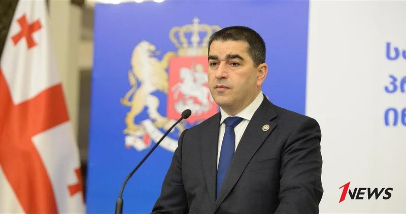 Шалва Папуашвили рассказал об условиях Грузии для нормализации отношений с Россией