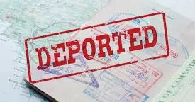 Gürcüstan DİN 43 qanunsuz miqrantı deportasiya edib