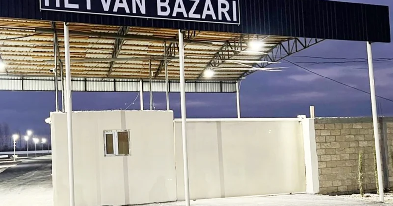 В Барде открылся обновленный скотный рынок ФОТО