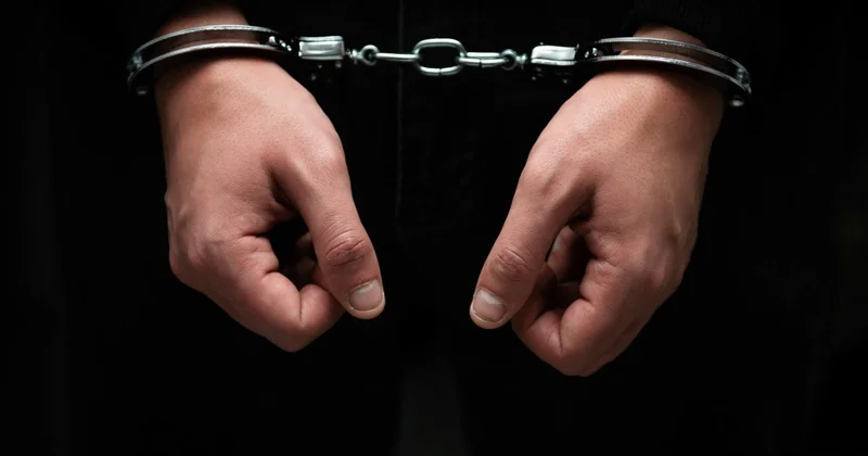 Gürcüstan polisi oğru dünyası ilə əlaqəli 49 nəfəri saxladı