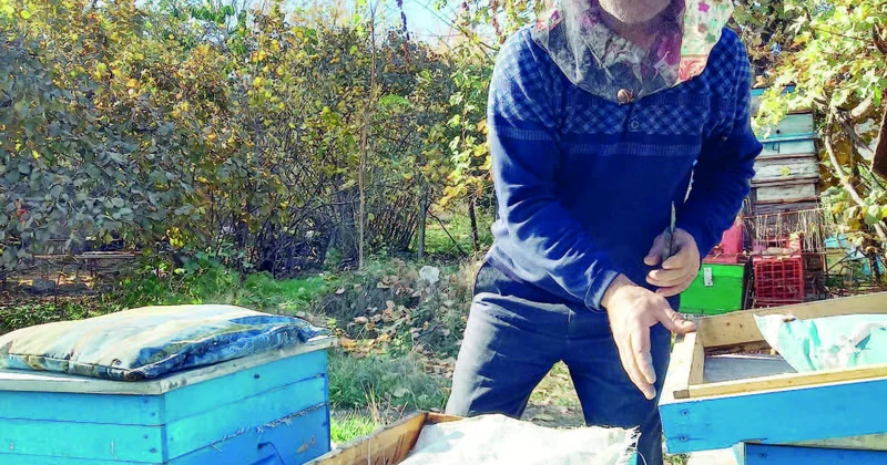 Zəngilanın da öz balı var