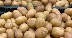 İran Özbəkistana 200 min ton kartof ixrac edəcək