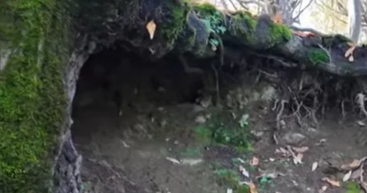 В крепости Бабека проведут археологические раскопки