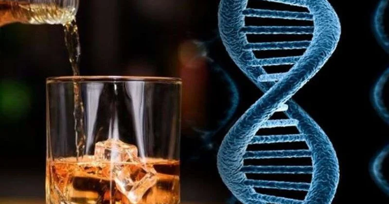 Alkoqol niyə xərçəngə səbəb olur?