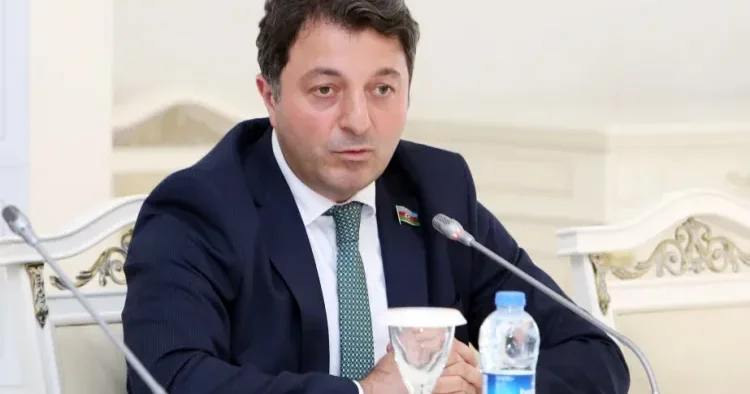 Aİ Ermənistan sazişi revanşistlərə fürsət verir ki, regionda yaratdığımız sülh gündəminə mane olsunlar