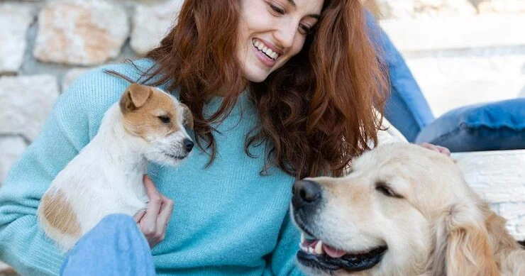 Qəlbi pambıq olan bürclər: Qarışqaya belə zərər verməzlər