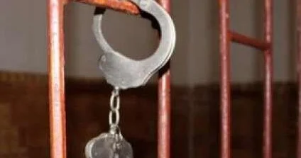 İkinci Dünya Müharibəsi qəhrəmanlarına amnistiya tətbiq olunacaq