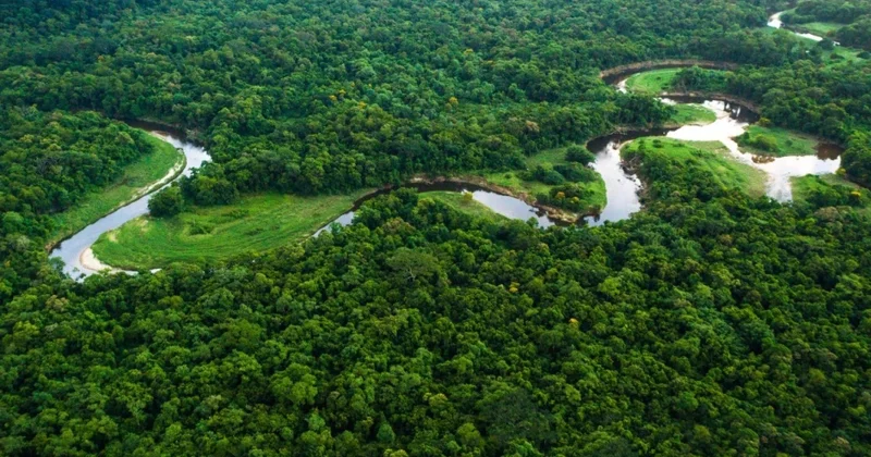 Amazon meşələri hipertropik iqlimə keçir