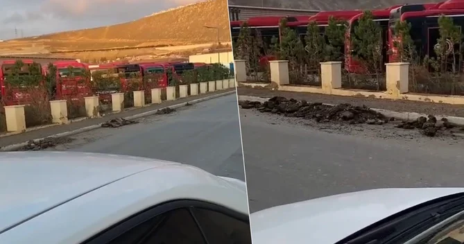 Bakıda illərdir istifadəsiz qalan avtobuslar