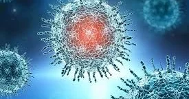 Hazırda dominant qrip Honkonq qripidir ÜST