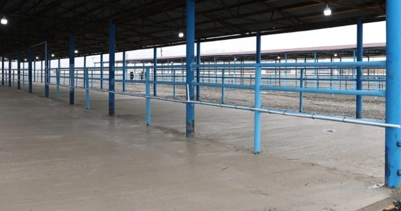 Bərdə heyvan bazarı fəaliyyətini bərpa etdi