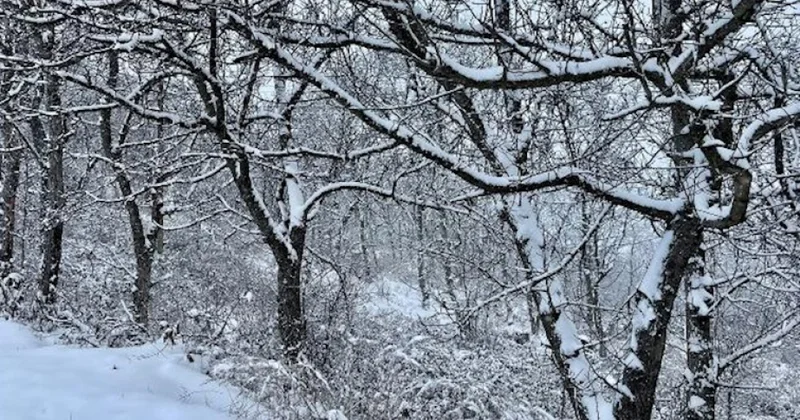 Rayonlarda yağışlar səngiyir sabahdan hava açılır