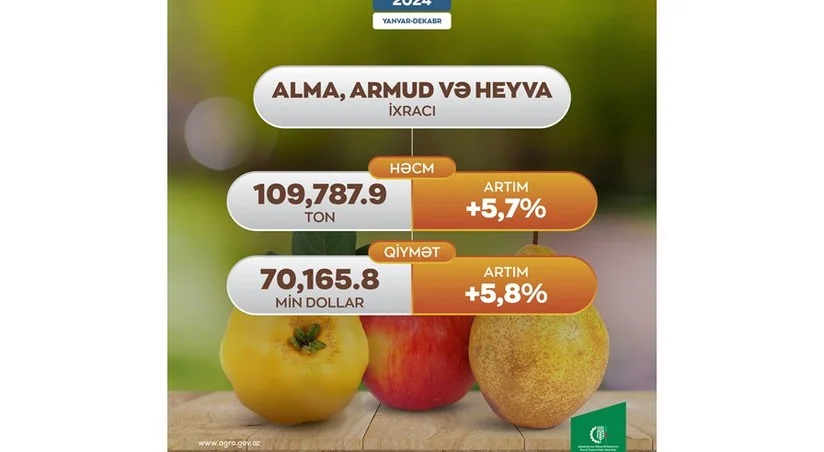 Azərbaycan alma, armud və heyva ixracından gəlirini 6 % ə yaxın artırıb