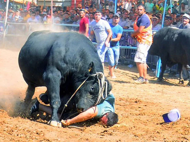 Buğa yarışında faciə 7 nəfər öldü KONKRET