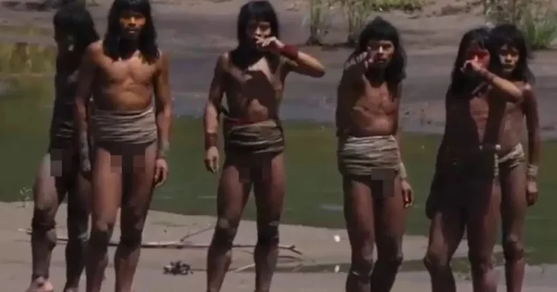 İlk dəfə kamera görürlər... Reaksiyaları gündəm oldu Video