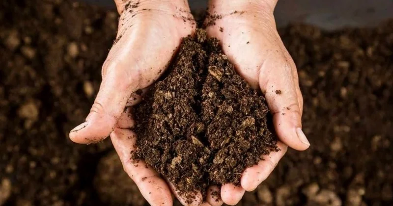 Azərbaycan Belarusdan torf tədarükünü kəskin artırıb