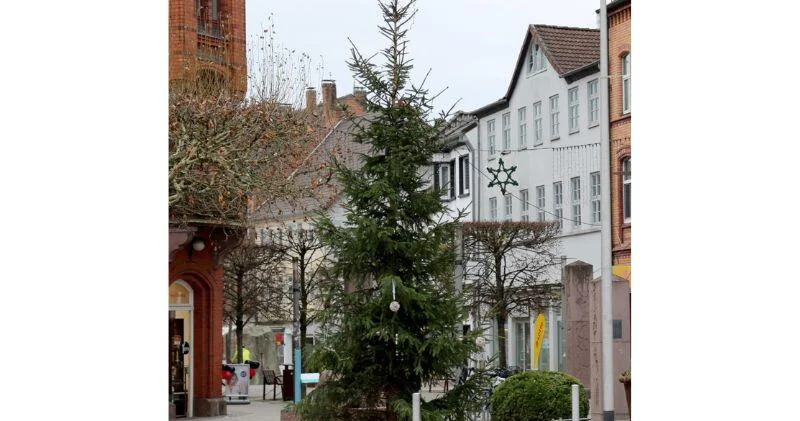 Из самой уродливой елки Германии сделают арт объект