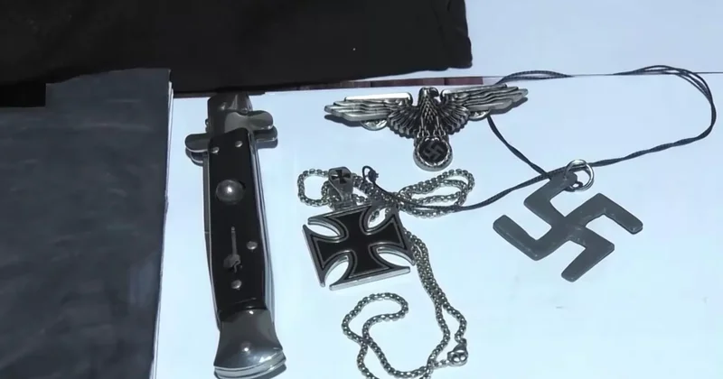 Пытки, грабеж, насилие: в Грузии задержали неофашистов Minval Politika