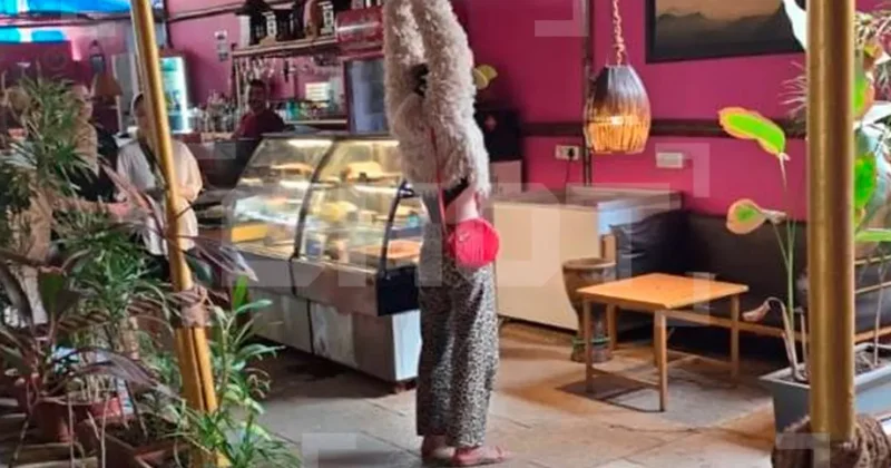 Маньяк аниматор в леопардовых лосинах: россиянин убил пять девушек на Гоа ВИДЕО / ФОТО