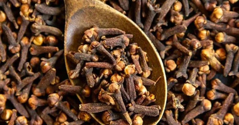 Azərbaycan daha bir ölkədən mixək idxal etməyə başlayıb