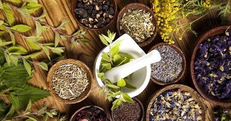 К черту антибиотики! Не помогает! Что говорит народная медицина Азербайджана? заметки на полях