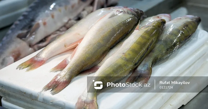 Azərbaycanda iki növ balıq bahalaşdı SƏBƏB