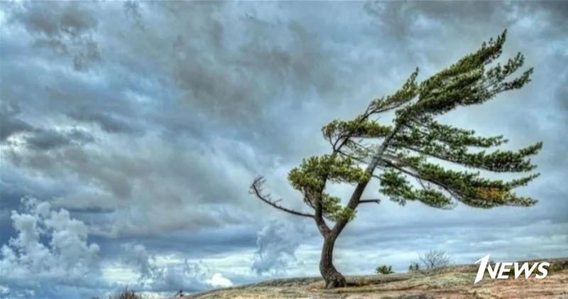 Ветер усилится, объявлены жёлтое и оранжевое предупреждения