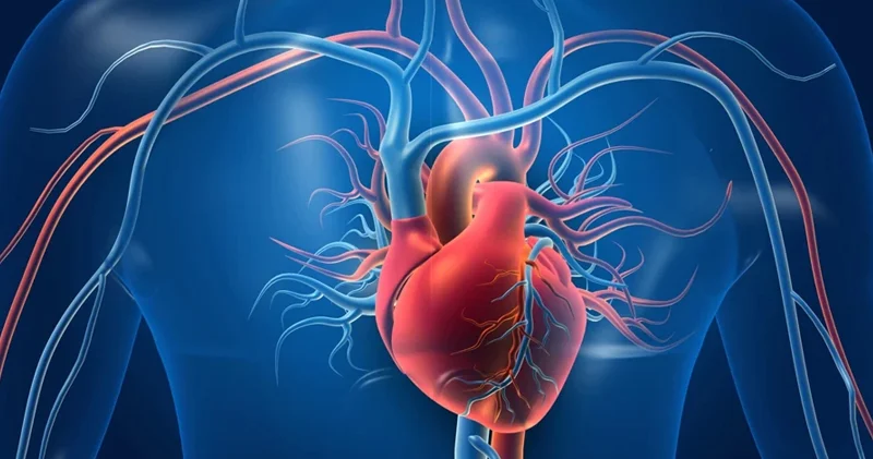 Tibbdə ilk: Söş qəfəsi açılmadan, tək bir kəsik olmadan ürək əməliyyatı