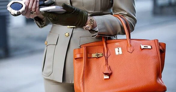 Hər müştəri bu çantanı ala bilməz Əvvəlcə yoxlanılmaq lazımdır FOTO