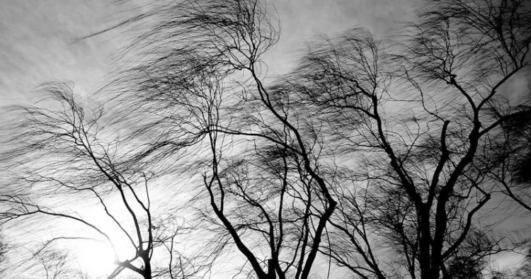 Küləklə bağlı XƏBƏRDARLIQ