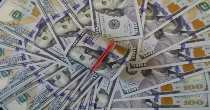 Dünyanın ən bahalı pişiyi neçəyədir? Niyə onun dəyəri Lamborghini ilə müqayisə edilə bilər?