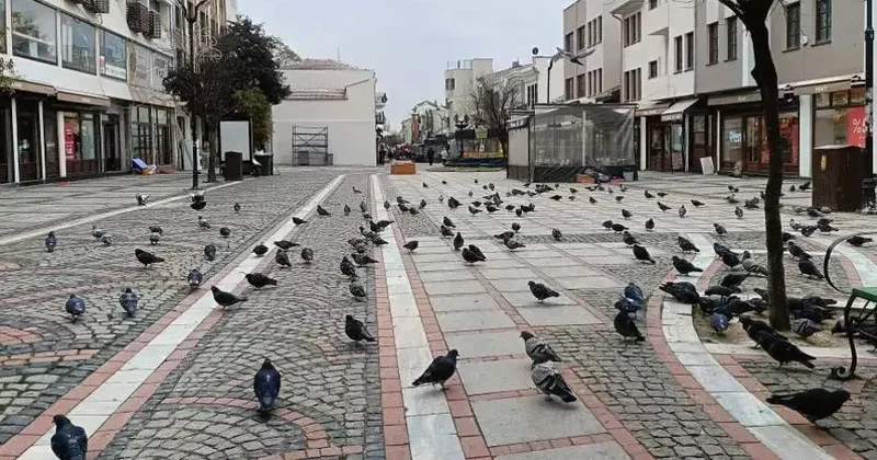 Şəhər səssizliyə qərq oldu: Pandemiya dövrünü xatırladır