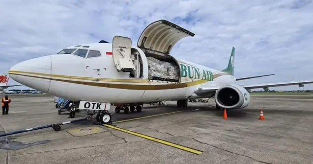İndoneziyada sərnişinləri olan təyyarə İTİB