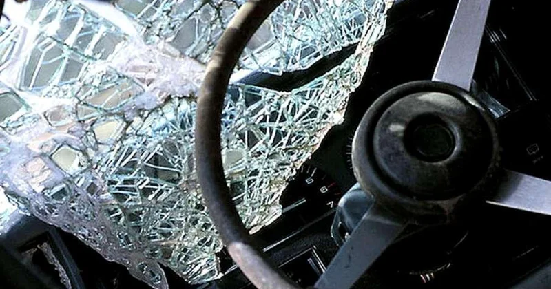 В Шамкире грузовик врезался в дерево, один человек погиб