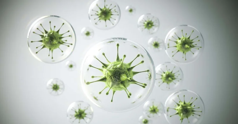 Covid 19 dan sonra yeni risk: Beyində səssiz təhlükə