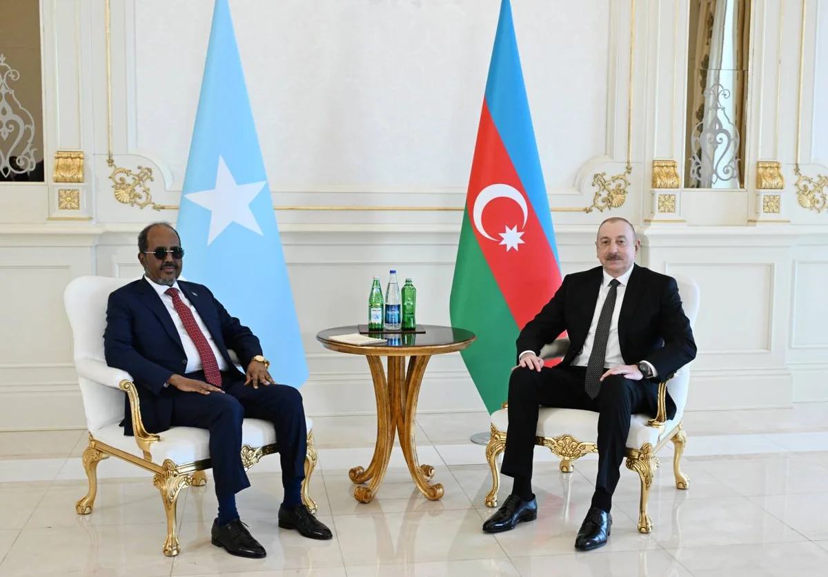 Azərbaycan və Somali bundan sonra da beynəlxalq strukturlarda bir birini dəstəkləyəcək