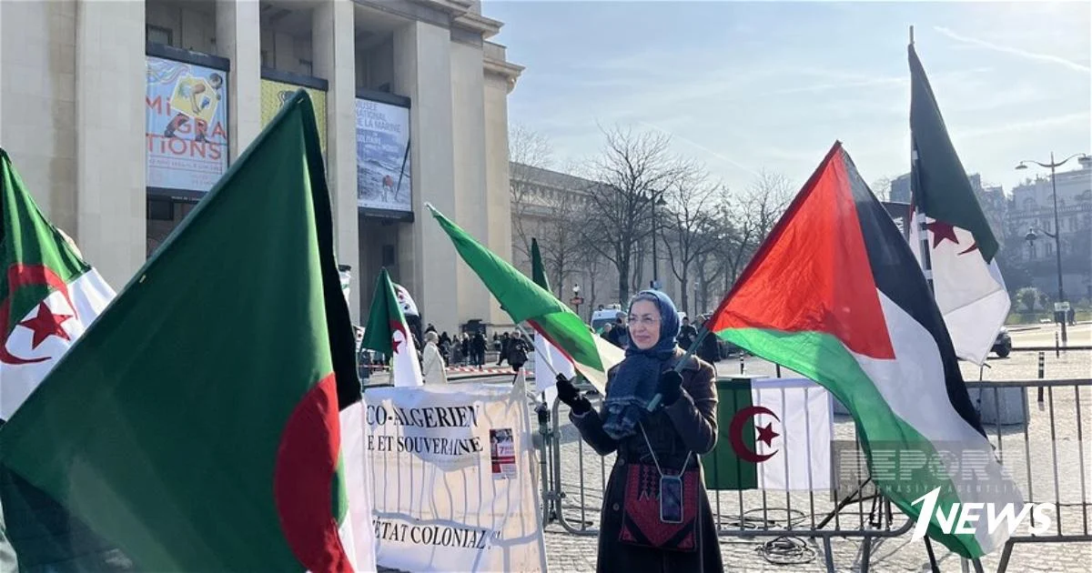 В Париже прошла акция против колониальной политики Франции ФОТО