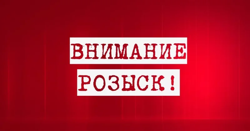 МВД России объявило в розыск главреда Агентства