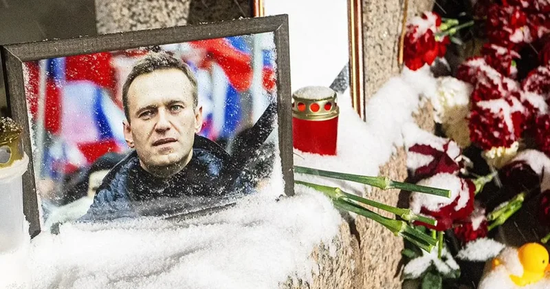Семнадцать стран обратились к России