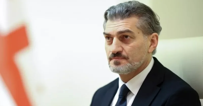 Кавелашвили: Европейская бюрократия грубо вмешивается во внутренние дела Грузии