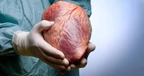 Donor ürəyi köçürülən insan nə qədər yaşayır?