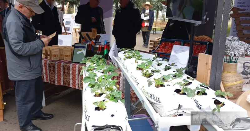 В Джалилабаде состоялся Аграрный бизнес фестиваль