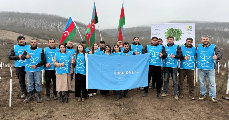В Товузе и Геранбое с участием волонтеров IDEA посажено более 2000 деревьев ФОТО