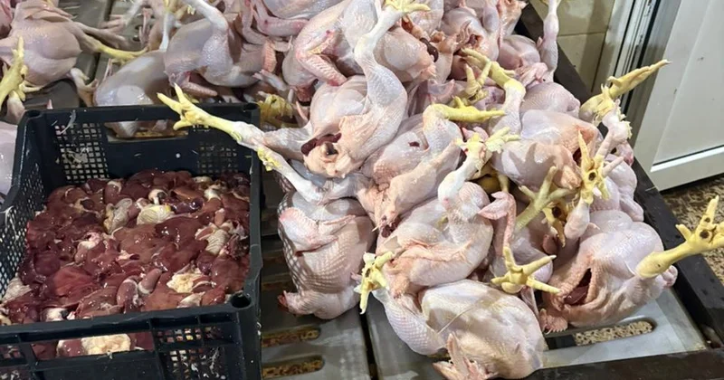 Toyuq kəsimi sexinin qanunsuz fəaliyyət göstərdiyi aşkarlandı FOTO