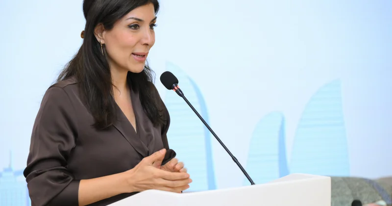 Həm deputat, həm də ana kimi etiraz etdi: “Təhlükəli qanundur”