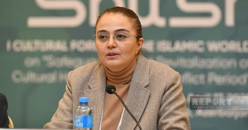 Замминистра: Азербайджан страна, испытавшая разрушительное воздействие вооруженного конфликта на культурное наследие