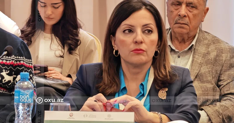 Səbinə Hacıyeva: Azıx mağarası silah anbarı kimi istifadə olunub