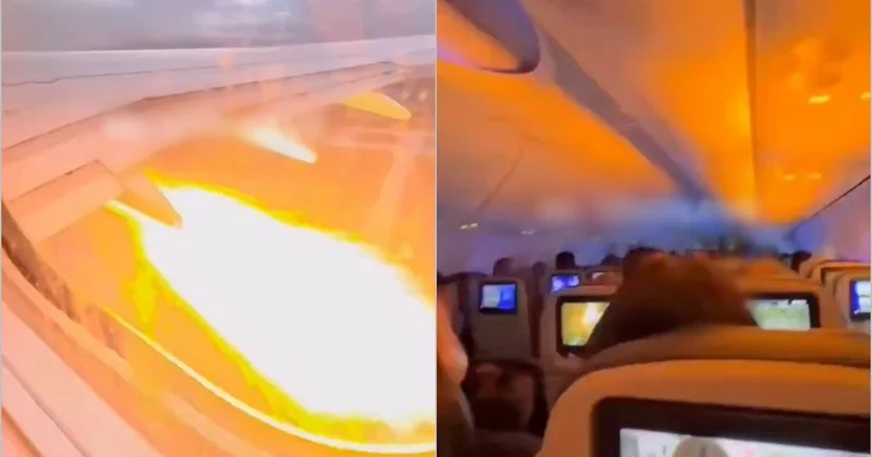 Dovşan Boeing ə qarşı: Havada gözlənilməz qəza təhlükəsi
